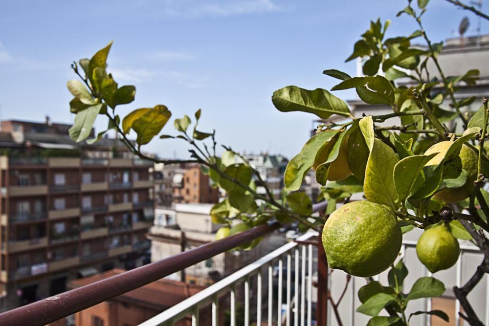 B&B Splendidae Mundi Rome Bagian luar foto